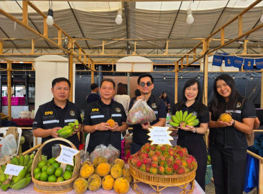 Northern Fruit Connect 2026: เชื่อมสวน เชื่อมสหกรณ์ ... พารามิเตอร์รูปภาพ 66
