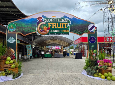 Northern Fruit Connect 2026: เชื่อมสวน เชื่อมสหกรณ์ ... พารามิเตอร์รูปภาพ 67