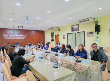 ประชุมโครงการ ... พารามิเตอร์รูปภาพ 13