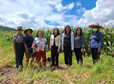 เข้าตรวจสอบ ติดตามผลการใช้เงินกู้เงินกองทุนสงเคราะห์เกษตรกร ... พารามิเตอร์รูปภาพ 9