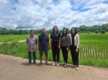 เข้าตรวจสอบ ติดตามผลการใช้เงินกู้เงินกองทุนสงเคราะห์เกษตรกร ... พารามิเตอร์รูปภาพ 12