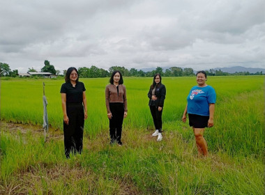 เข้าตรวจสอบ ติดตามผลการใช้เงินกู้เงินกองทุนสงเคราะห์เกษตรกร ... พารามิเตอร์รูปภาพ 3