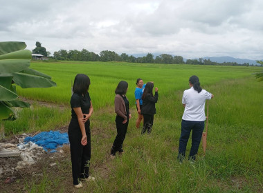เข้าตรวจสอบ ติดตามผลการใช้เงินกู้เงินกองทุนสงเคราะห์เกษตรกร ... พารามิเตอร์รูปภาพ 4