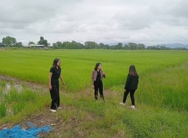 เข้าตรวจสอบ ติดตามผลการใช้เงินกู้เงินกองทุนสงเคราะห์เกษตรกร ... พารามิเตอร์รูปภาพ 6