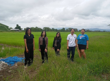 เข้าตรวจสอบ ติดตามผลการใช้เงินกู้เงินกองทุนสงเคราะห์เกษตรกร ... พารามิเตอร์รูปภาพ 7