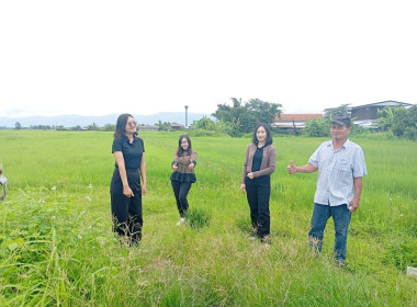 เข้าตรวจสอบ ติดตามผลการใช้เงินกู้เงินกองทุนสงเคราะห์เกษตรกร ... พารามิเตอร์รูปภาพ 13