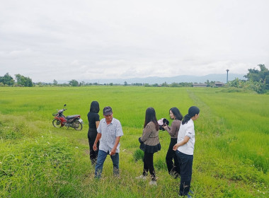 เข้าตรวจสอบ ติดตามผลการใช้เงินกู้เงินกองทุนสงเคราะห์เกษตรกร ... พารามิเตอร์รูปภาพ 15