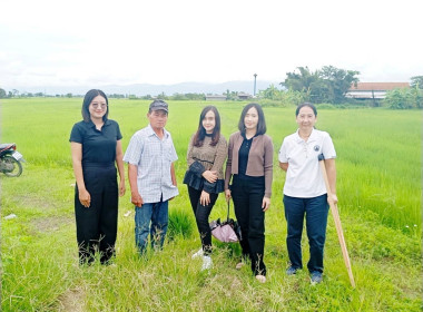 เข้าตรวจสอบ ติดตามผลการใช้เงินกู้เงินกองทุนสงเคราะห์เกษตรกร ... พารามิเตอร์รูปภาพ 18