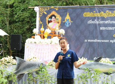 ร่วมพิธีปล่อยพันธุ์สัตว์น้ำ 2 แสนตัว ... พารามิเตอร์รูปภาพ 13