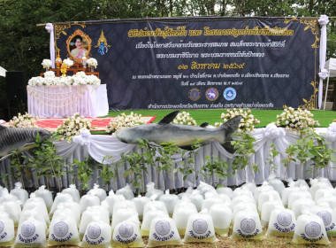 ร่วมพิธีปล่อยพันธุ์สัตว์น้ำ 2 แสนตัว ... พารามิเตอร์รูปภาพ 20