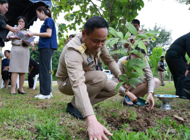 ร่วมพิธีปล่อยพันธุ์สัตว์น้ำ 2 แสนตัว ... พารามิเตอร์รูปภาพ 31