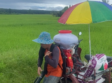 เข้าตรวจสอบ ติดตามผลการใช้เงินกู้เงินกองทุนสงเคราะห์เกษตรกร ... พารามิเตอร์รูปภาพ 3