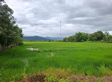 เข้าตรวจสอบ ติดตามผลการใช้เงินกู้เงินกองทุนสงเคราะห์เกษตรกร ... พารามิเตอร์รูปภาพ 11