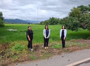 เข้าตรวจสอบ ติดตามผลการใช้เงินกู้เงินกองทุนสงเคราะห์เกษตรกร ... พารามิเตอร์รูปภาพ 15
