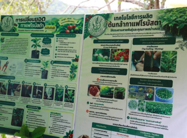 รมช.เกษตรฯ ลุยเชียงรายปราบ "ด้วงหนวดยาว" ถล่มสวนกาแฟ ดัน ... พารามิเตอร์รูปภาพ 57