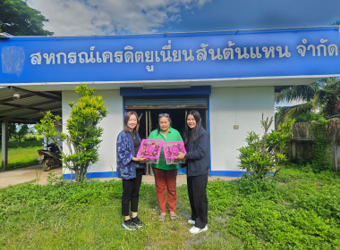ร่วมกระจายผลไม้ "มังคุด" จากสหกรณ์การเกษตรพรหมคีรี จำกัด ... พารามิเตอร์รูปภาพ 5