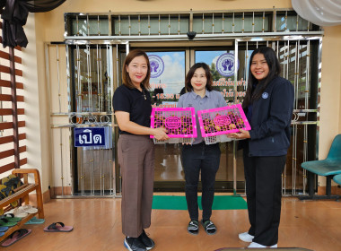 ร่วมกระจายผลไม้ "มังคุด" จากสหกรณ์การเกษตรพรหมคีรี จำกัด ... พารามิเตอร์รูปภาพ 6