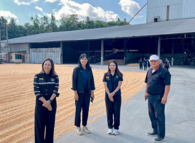 เข้าร่วมติดตามสถานการณ์การผลิตและการตลาดข้าวเปลือก (นาปี) ... พารามิเตอร์รูปภาพ 3