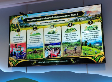 เข้าร่วมประชุมคณะทำงานโครงการระบบการผลิตข้าวที่ยั่งยืนแบบองค์รวม (ISRL.) จังหวัดเชียงราย ครั้งที่ 1/2569 ... พารามิเตอร์รูปภาพ 5