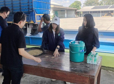 ตรวจเยี่ยมการรวบรวมข้าวเปลือก 2569/70 สหกรณ์การเกษตรแม่สาย ... พารามิเตอร์รูปภาพ 4