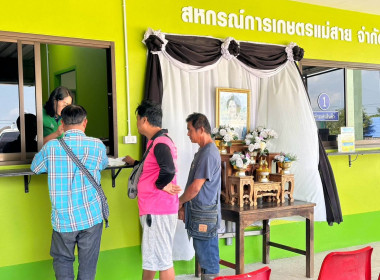 ตรวจเยี่ยมการรวบรวมข้าวเปลือก 2569/70 สหกรณ์การเกษตรแม่สาย ... พารามิเตอร์รูปภาพ 7