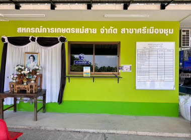 ตรวจเยี่ยมการรวบรวมข้าวเปลือก 2569/70 สหกรณ์การเกษตรแม่สาย ... พารามิเตอร์รูปภาพ 10