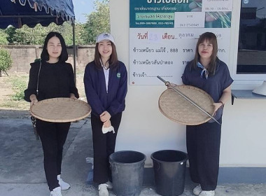 ตรวจเยี่ยมการรวบรวมข้าวเปลือก 2569/70 ... พารามิเตอร์รูปภาพ 2