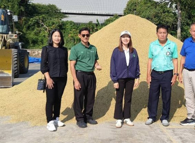 ตรวจเยี่ยมการรวบรวมข้าวเปลือก 2569/70 สหกรณ์การเกษตรแม่จัน ... พารามิเตอร์รูปภาพ 1