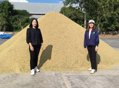 ตรวจเยี่ยมการรวบรวมข้าวเปลือก 2569/70 สหกรณ์การเกษตรแม่จัน ... พารามิเตอร์รูปภาพ 2