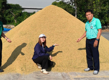 ตรวจเยี่ยมการรวบรวมข้าวเปลือก 2569/70 สหกรณ์การเกษตรแม่จัน ... พารามิเตอร์รูปภาพ 5