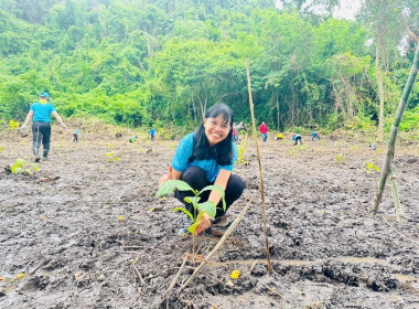 ร่วมพิธีโครงการปลูกป่า ปล่อยปลา เฉลิมพระเกียรติฯ ... พารามิเตอร์รูปภาพ 5