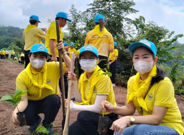 ร่วมกิจกรรมปลูกต้นไม้ เทิดพระเกียรติและถวายเป็นพระราชกุศล ... พารามิเตอร์รูปภาพ 3