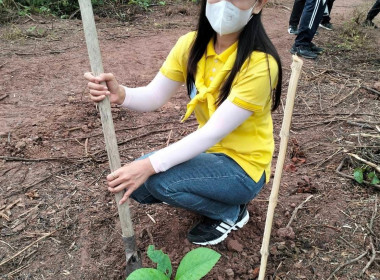 ร่วมกิจกรรมปลูกต้นไม้ เทิดพระเกียรติและถวายเป็นพระราชกุศล ... พารามิเตอร์รูปภาพ 7
