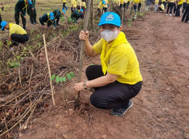 ร่วมกิจกรรมปลูกต้นไม้ เทิดพระเกียรติและถวายเป็นพระราชกุศล ... พารามิเตอร์รูปภาพ 8