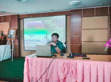โครงการอบรม ... พารามิเตอร์รูปภาพ 13