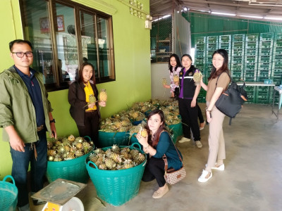 เข้าติดตามผลการใช้เงินกู้กองทุนพัฒนาสหกรณ์ ... พารามิเตอร์รูปภาพ 1